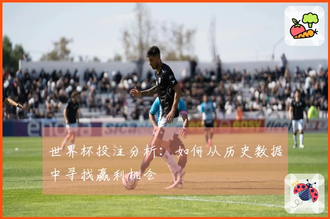 世界杯投注分析：如何从历史数据中寻找赢利机会