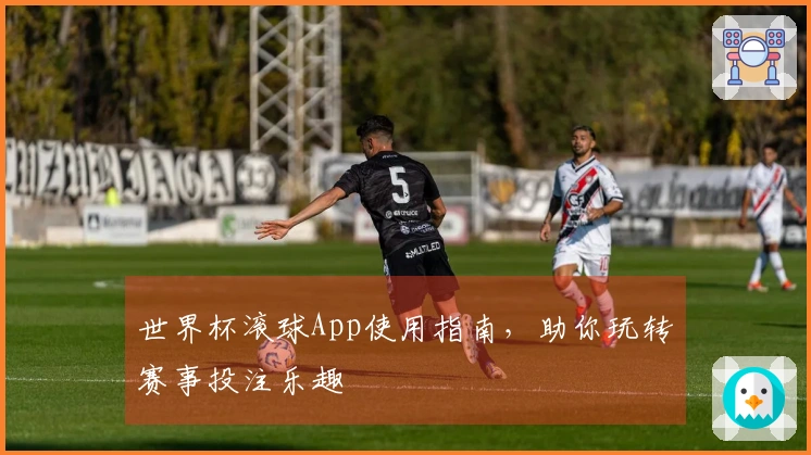 世界杯滚球App使用指南，助你玩转赛事投注乐趣