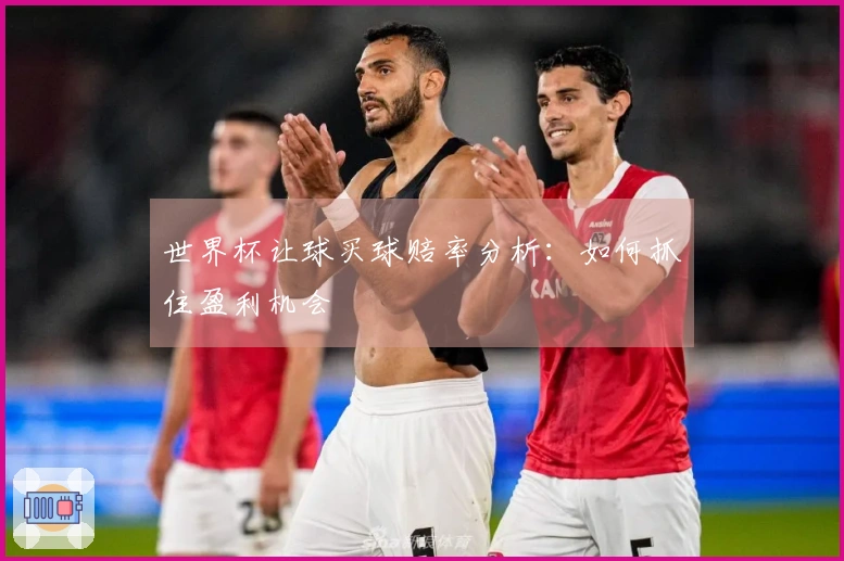 世界杯让球买球赔率分析：如何抓住盈利机会