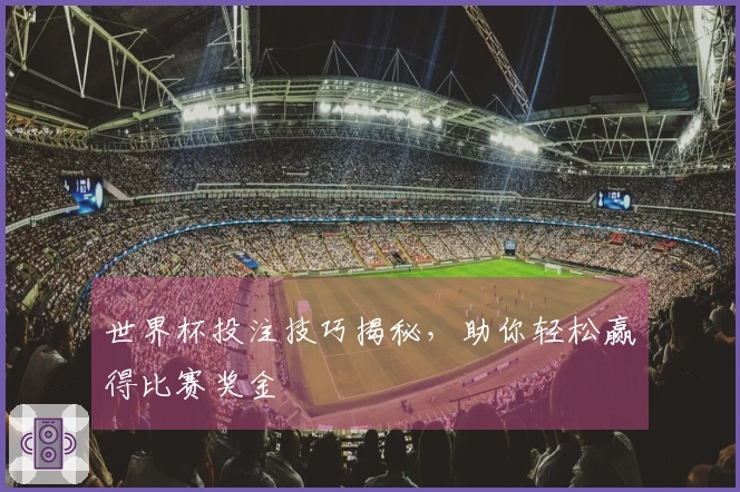 世界杯投注技巧揭秘，助你轻松赢得比赛奖金