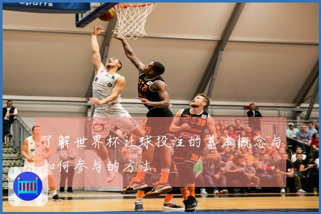 了解世界杯让球投注的基本概念与如何参与的方法