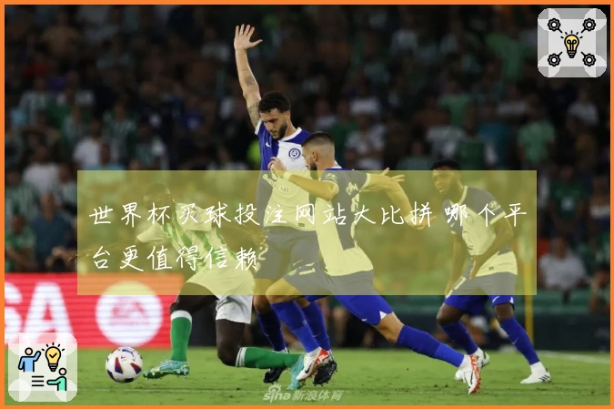 世界杯买球投注网站大比拼 哪个平台更值得信赖