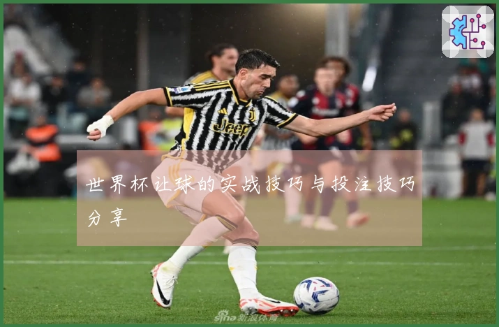 世界杯让球的实战技巧与投注技巧分享