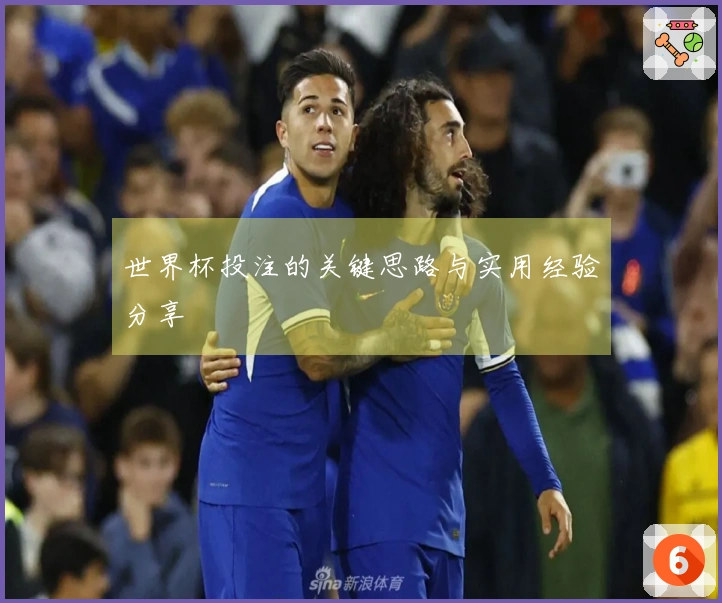 世界杯投注的关键思路与实用经验分享