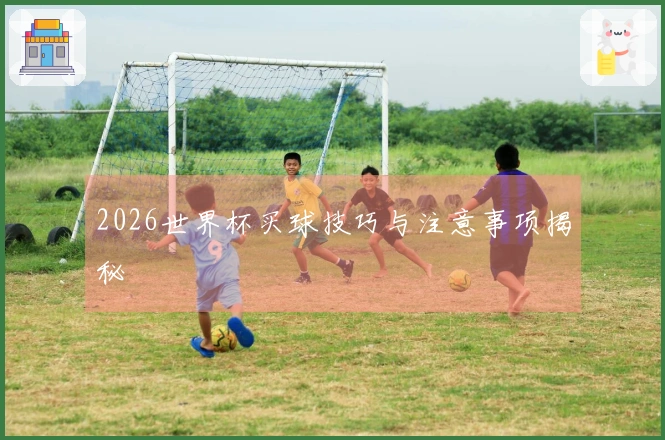 2026世界杯买球技巧与注意事项揭秘