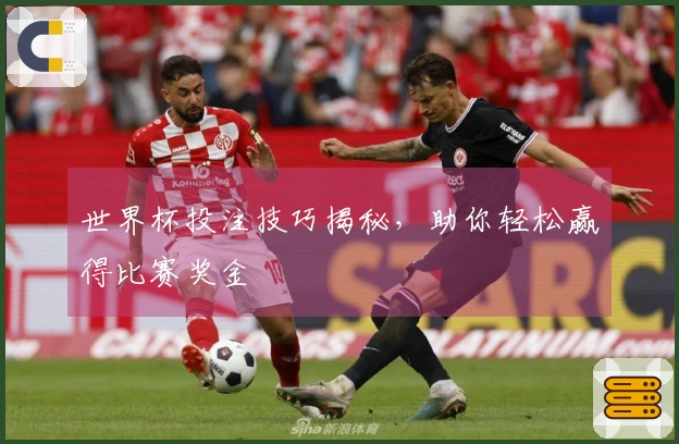 世界杯投注技巧揭秘，助你轻松赢得比赛奖金
