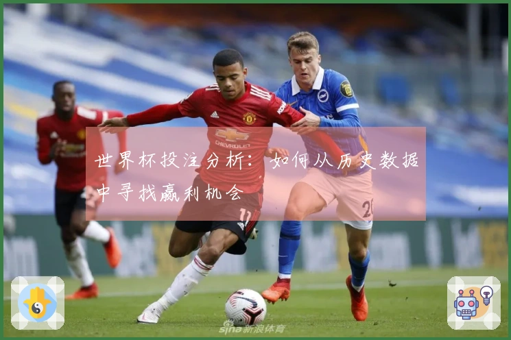 世界杯投注分析：如何从历史数据中寻找赢利机会