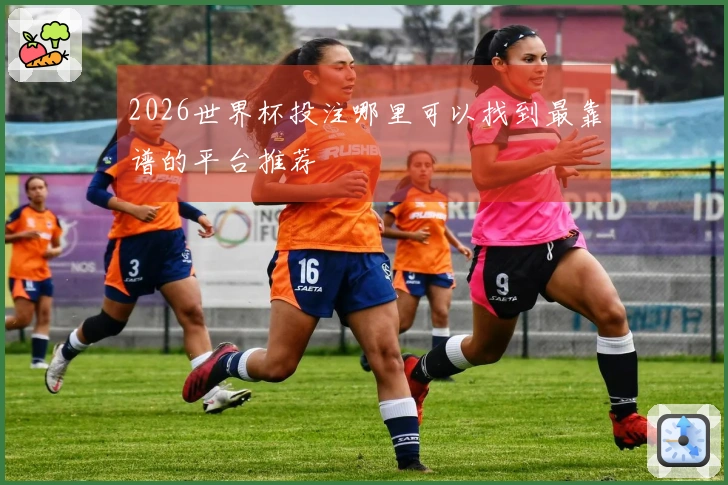 2026世界杯投注哪里可以找到最靠谱的平台推荐